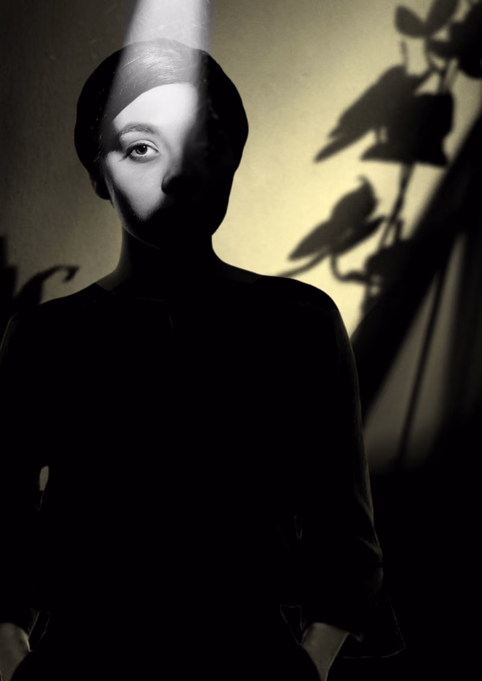 From The Shadows